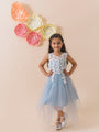 Blue Net Solid Maxi Dress (D-BLUELAY)