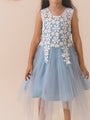 Blue Net Solid Maxi Dress (D-BLUELAY)