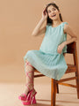 Georgette A-Line Dress (d-pleatedgreen)