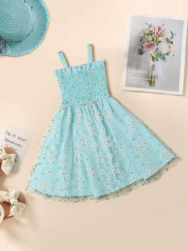 Pspeaches Blue Color Net Dress (D25022892)