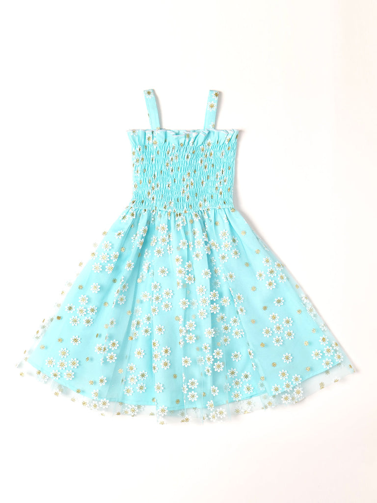 Pspeaches Blue Color Net Dress (D25022892)