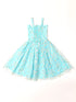 Pspeaches Blue Color Net Dress (D25022892)
