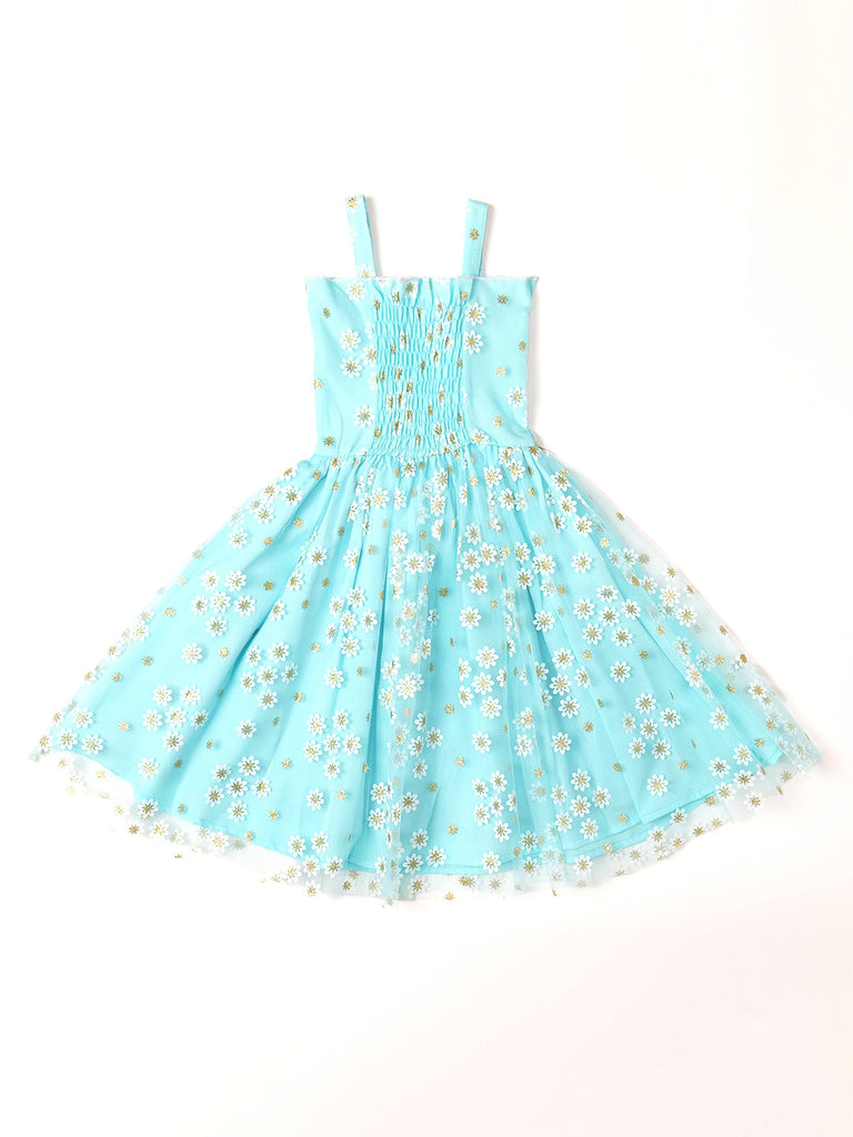 Pspeaches Blue Color Net Dress (D25022892)