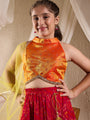 Girls Printed Ready To Wear Lehenga Blouse With Dupatta (L-MGCRINKLEBANDHNI)