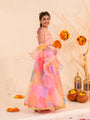 Girls Embellished Thread Work Ready to Wear Lehenga & Blouse With Dupatta (L-ORGANZAMULTI)