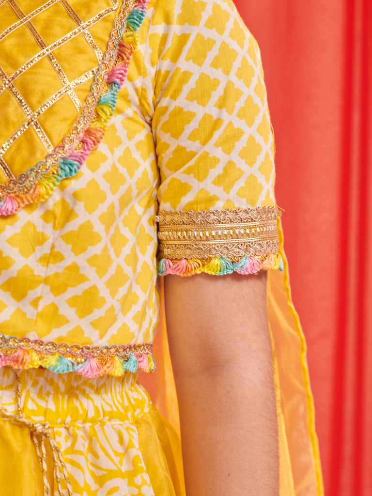 Girls Printed Ready To Wear Lehenga Blouse With Dupatta (L-YLORGANZAKALI)