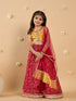 3-Piece Yellow & Magenta Embroidery Lehenga, Choli And Dupatta (L25013125)