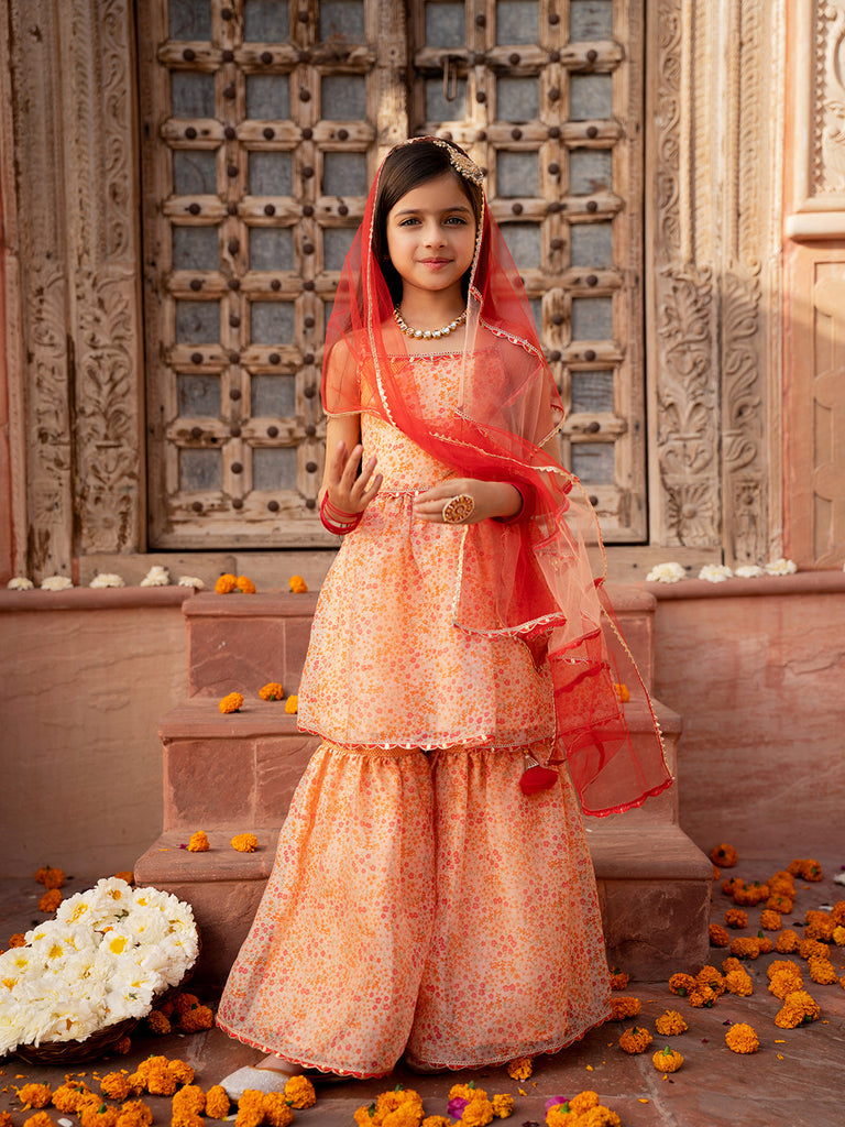 Pspeaches 3-Piece Peach Color Organza Kurta & Sharara With Dupatta (SHA25011006)