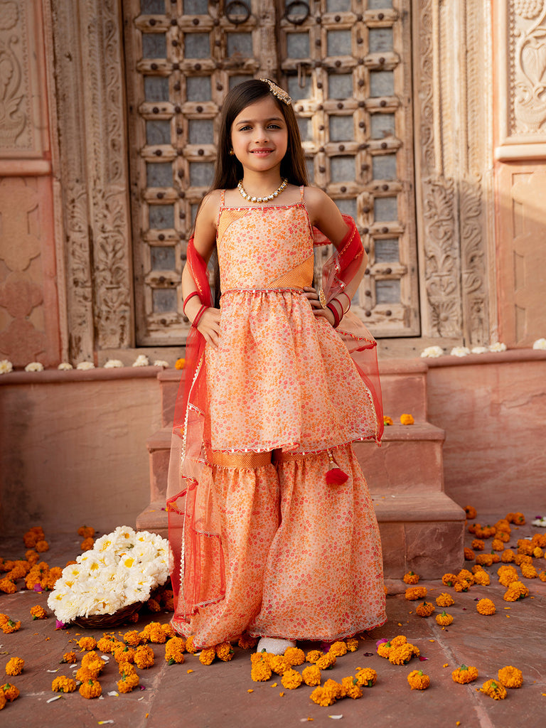 Pspeaches 3-Piece Peach Color Organza Kurta & Sharara With Dupatta (SHA25011006)