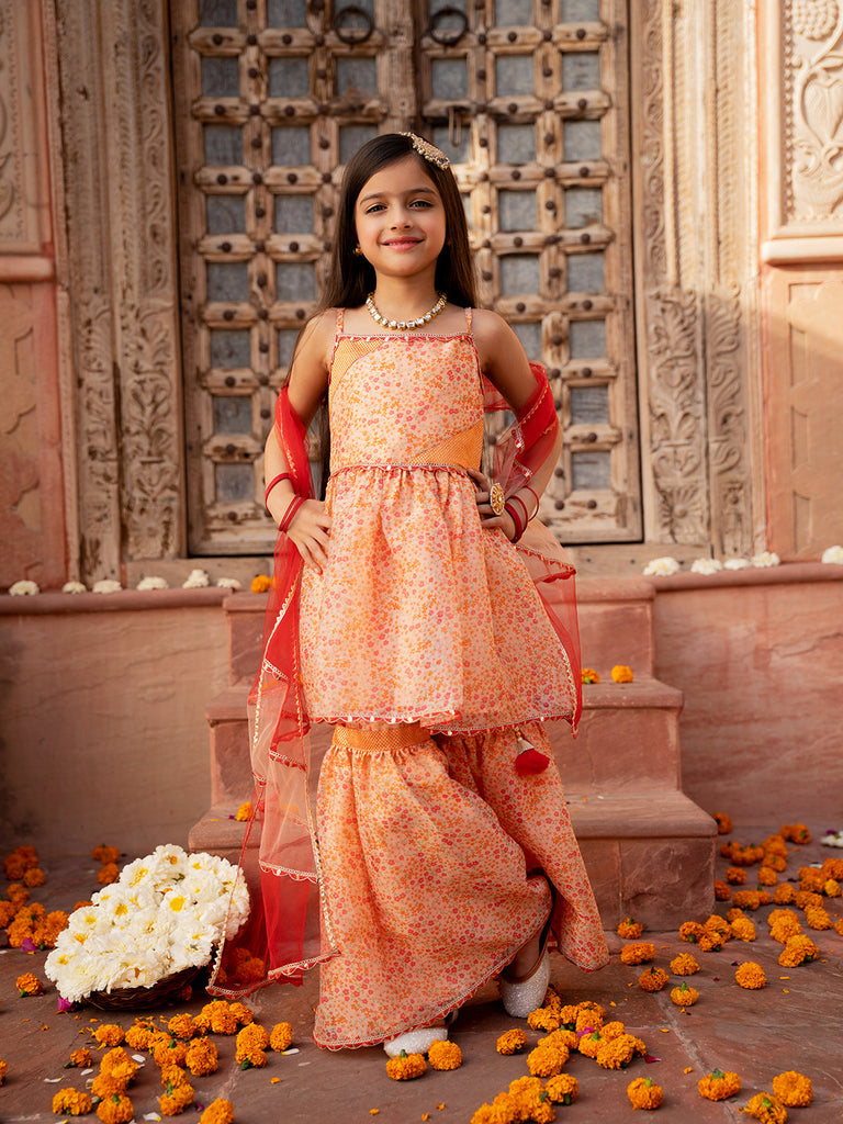 Pspeaches 3-Piece Peach Color Organza Kurta & Sharara With Dupatta (SHA25011006)