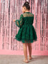 Girls Self Design Gathered Lace Fit & Flare Dress (d-greenlace)