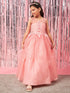 Girls Embellished Applique Fit & Flare Maxi Dress (d-peachdew)
