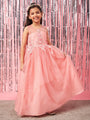 Girls Embellished Applique Fit & Flare Maxi Dress (d-peachdew)