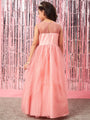 Girls Embellished Applique Fit & Flare Maxi Dress (d-peachdew)