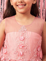 Girls Embellished Applique Fit & Flare Maxi Dress (d-peachdew)