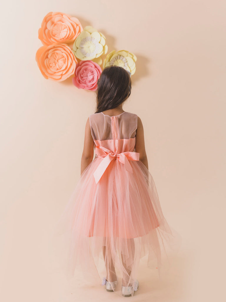 Peach-Coloured Embellished Net Maxi Dress (D-PEACHLAY)