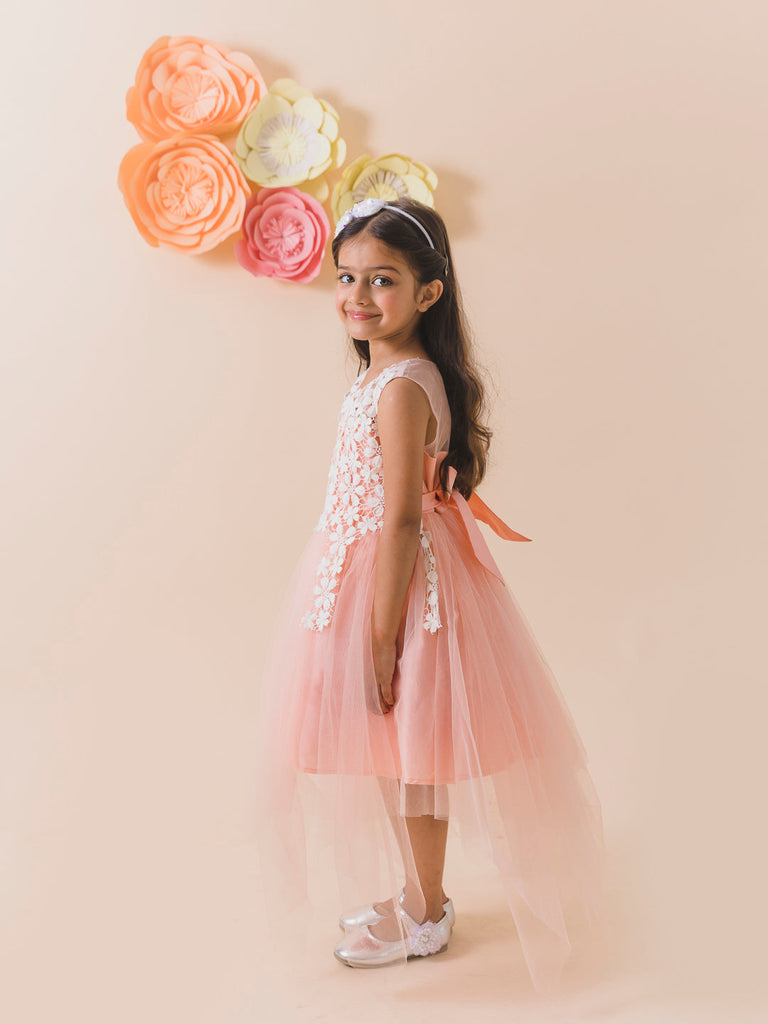 Peach-Coloured Embellished Net Maxi Dress (D-PEACHLAY)