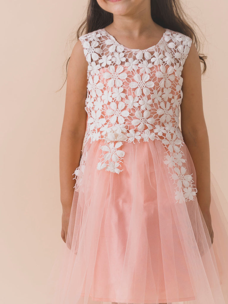 Peach-Coloured Embellished Net Maxi Dress (D-PEACHLAY)