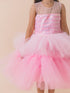 Pink Net Maxi Dress (d-pinklay)